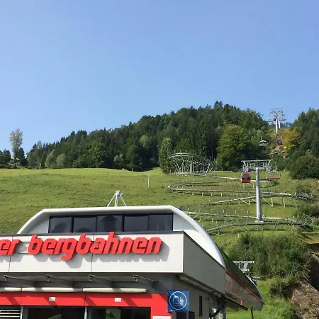 Schwalbenwurz Im Enzianfeld #15 Amlach